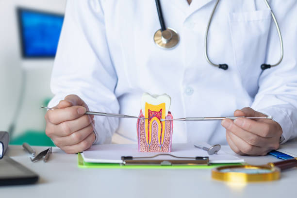 Best Emergency Dental Services for Seniors in Bonnetsville, NC